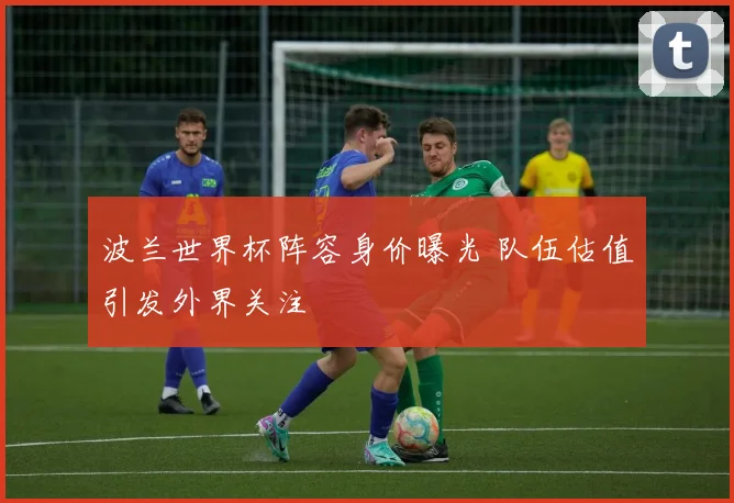 波兰世界杯阵容身价曝光 队伍估值引发外界关注